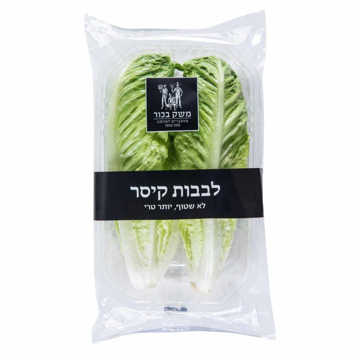 לבבות קיסר משק בכור