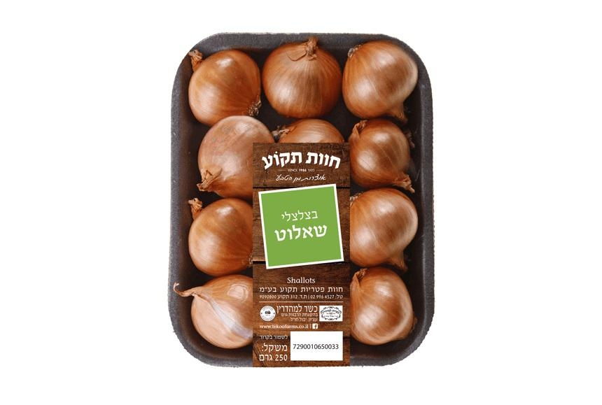 בצלי שאלוט