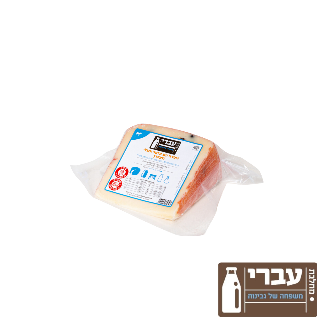 גאודה כבשים עברי